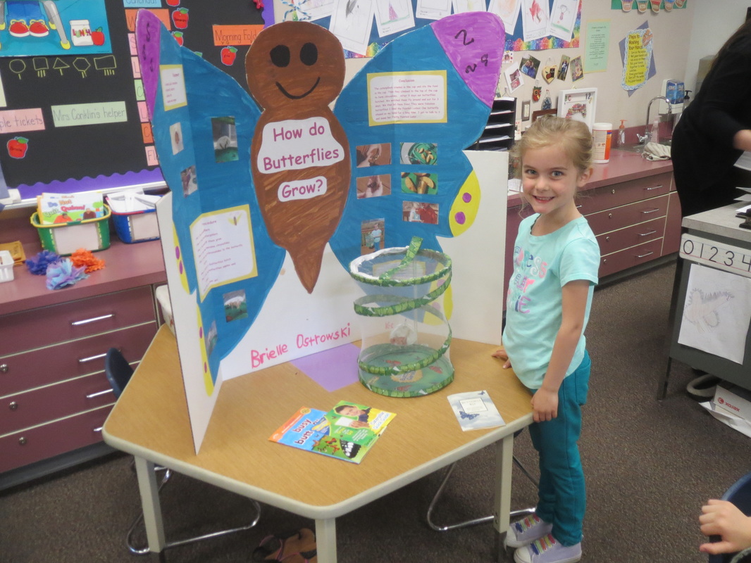 Science Fair Project For Kindergarten - Kindergarten